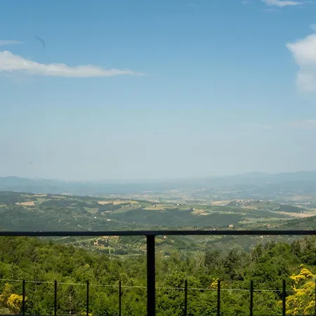 La Scottiglia Seggiano